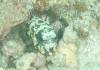 102 - Dive5-2 Spooky Channel