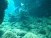 104 - Dive5-2 Spooky Channel