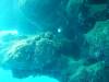 110 - Dive5-2 Spooky Channel