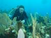 115 - Dive5-3 Spooky Channel