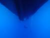 125 - Dive6-1 40ft Point