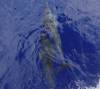 141 - Roatan Aggressor