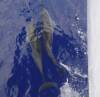 143 - Roatan Aggressor