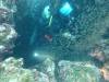 Dive7-1 Koh Haa Neua-123 Dive7-1 Koh Haa Neua SONY