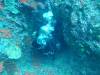Dive7-2 Ko Haa Yai-133 Dive7-2 Ko Haa Yai SONY