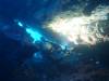 Dive7-4 Hin Daeng-116 Dive7-4 Hin Daeng SONY