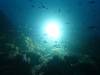 Dive7-4 Hin Daeng-132 Dive7-4 Hin Daeng SONY
