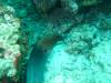 116 - Dive1-1 Torinla Reef SONY
