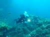 141 - Dive2-2 Richelieu Rock SONY