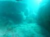 111 - Dive5-1 Elephant Head Rock SONY