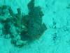 119 - Dive5-3 The Channel SONY