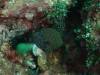 116 - Dive7-3 Hin Muang SONY