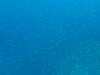 124 - Dive7-3 Hin Muang SONY