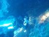 113 - Dive7-4 Hin Daeng SONY