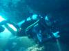 114 - Dive7-4 Hin Daeng SONY