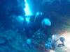 117 - Dive7-4 Hin Daeng SONY