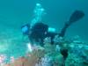 109 - Dive8-4 Koh Bhung SONY