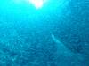 103 - Dive9-1 Hin Muaeng SONY