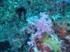 122 - Dive9-1 Hin Muaeng SONY
