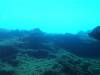 105 - Dive9-3 Koh Haa3 SONY