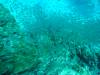 106 - Dive9-3 Koh Haa3 SONY