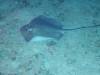 104 - Dive1-5N Amphitheatre