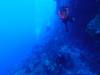103 - Dive2-1 Shark Hotel
