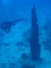 110 - Dive2-1 Shark Hotel