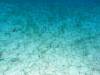 114 - Dive3-1 Elephant Ear Canyon