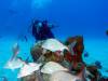 112 - Dive3-2 Elephant Ear Canyon