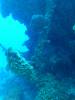 105 - Dive4-3 Spanish Anchor