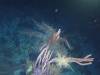 134 - Dive5-5N G-Spot