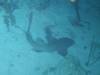 140 - Dive5-5N G-Spot