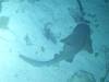 142 - Dive5-5N G-Spot