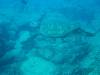 107 - 20241208 Kauai Fathom Five Day4