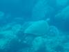 108 - 20241208 Kauai Fathom Five Day4