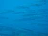 115 - 20241208 Kauai Fathom Five Day4