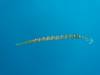 144 - 20241208 Kauai Fathom Five Day4