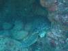 146 - 20241208 Kauai Fathom Five Day4