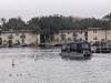 053 - 20250119 Crystal River Manatees