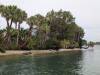 112 - 20250119 Crystal River Manatees