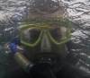 204 - 20250119 Crystal River Manatees GoPro HERO11 Black