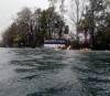 205 - 20250119 Crystal River Manatees GoPro HERO11 Black