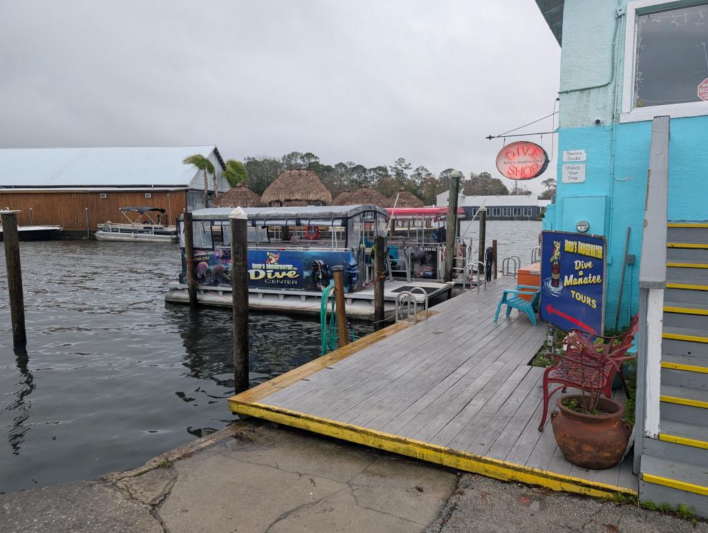 050 - 20250119 Crystal River Manatees