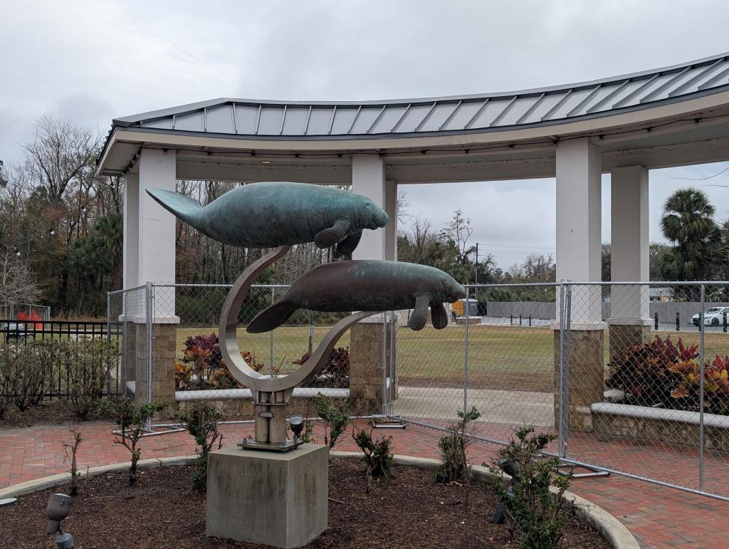 090 - 20250119 Crystal River Manatees