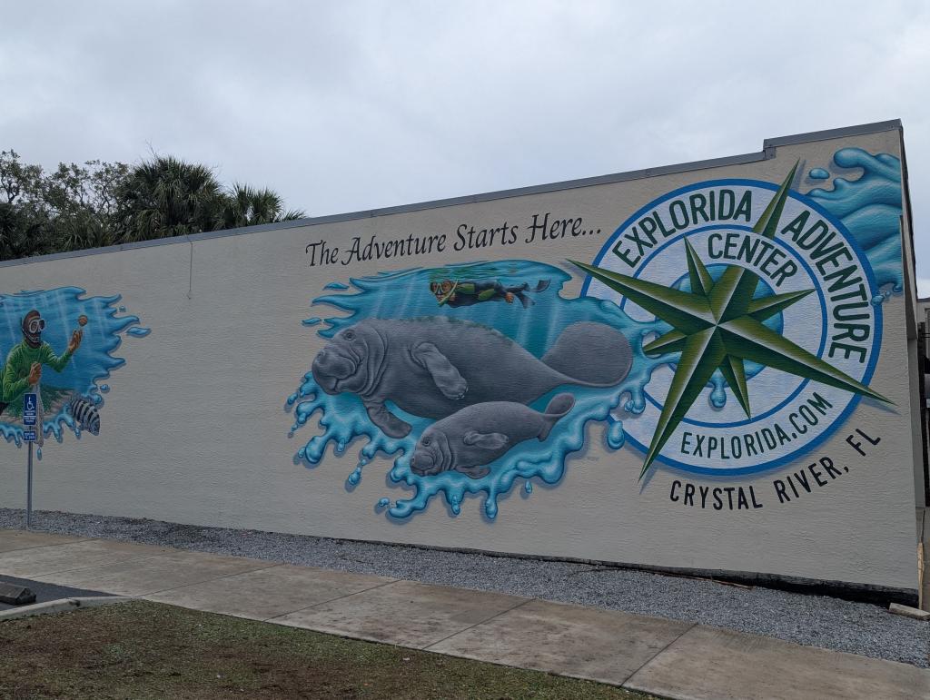 091 - 20250119 Crystal River Manatees