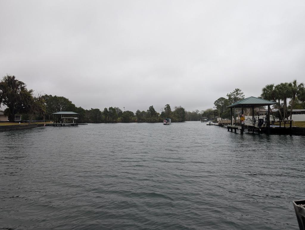 105 - 20250119 Crystal River Manatees