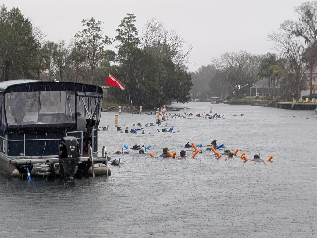 109 - 20250119 Crystal River Manatees