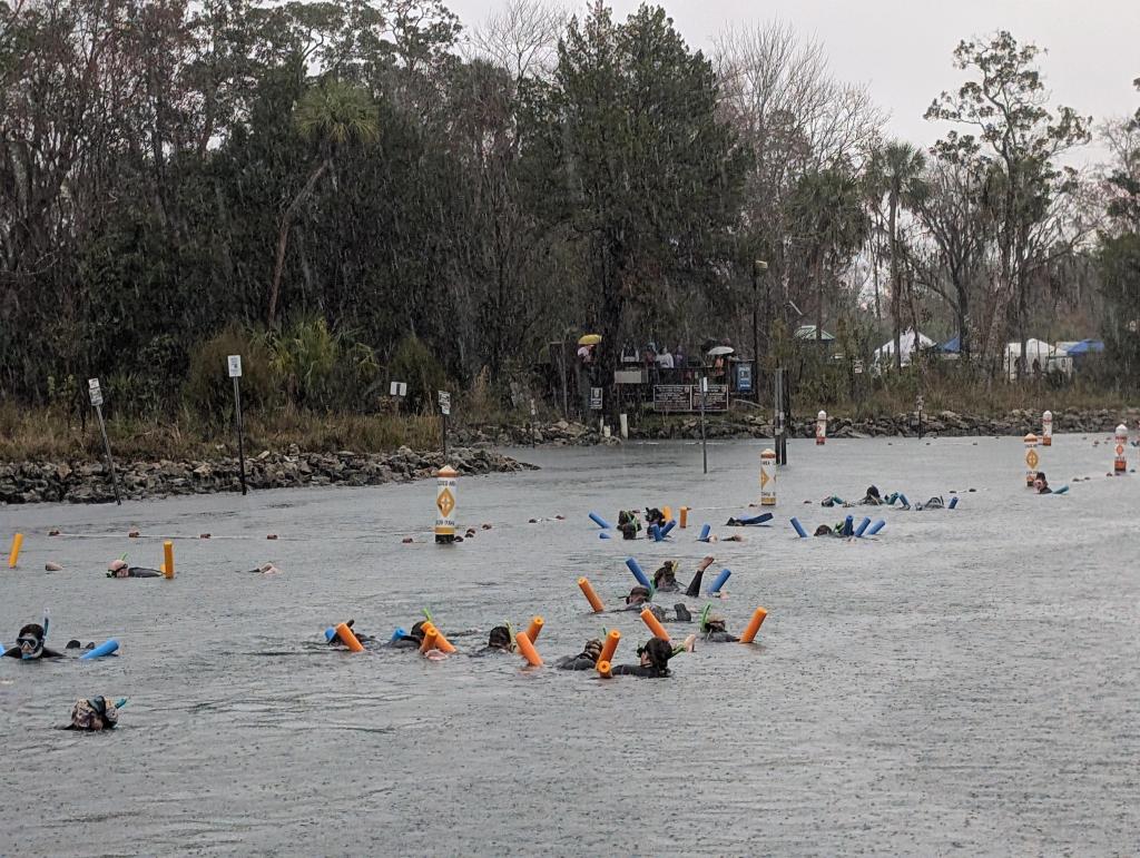 110 - 20250119 Crystal River Manatees
