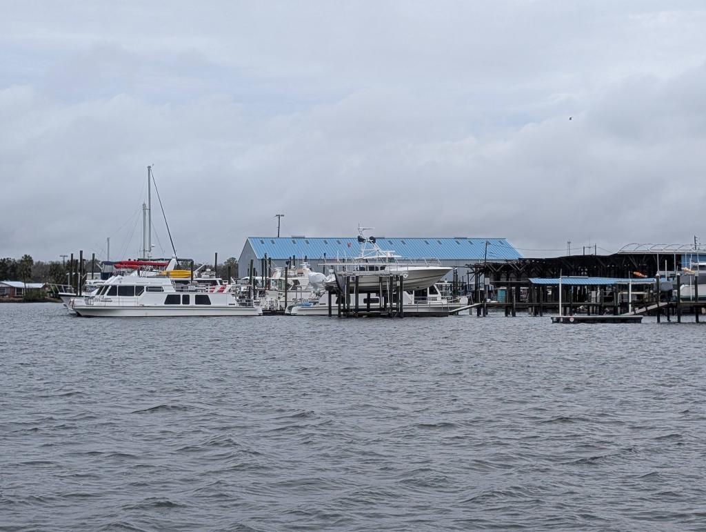 113 - 20250119 Crystal River Manatees